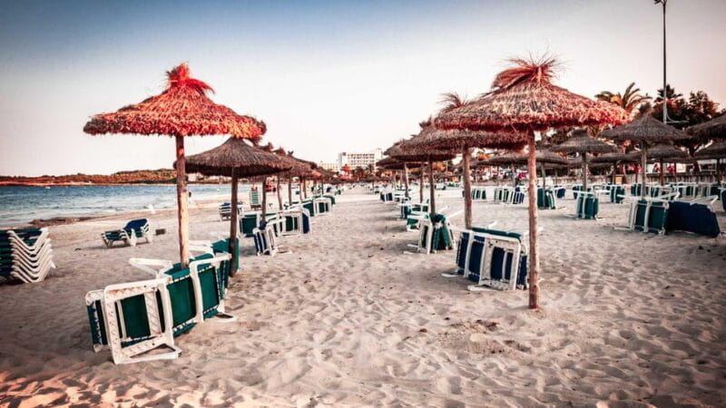 Port d'Alcudia: Meet the Magical Creatures,family game &walk - Exploring Port dAlcudias Magical Creatures Game Walk