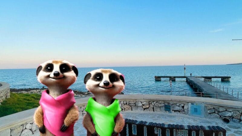 Port d'Alcudia: Meet the Magical Creatures,family game &walk - Final Thoughts: Who Should Book This Tour