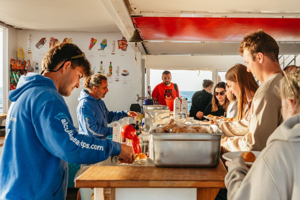 Port Dalcudia: Sunrise at Sea & Dolphin Watching Boat Tour - Respectful Observation Approach