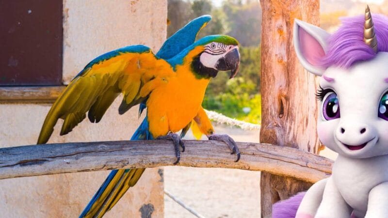 Port de Sóller: The Magical Creatures of Sóller, family game - FAQ