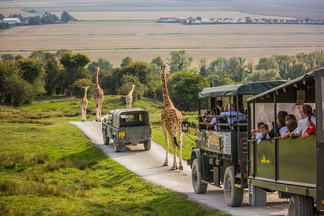 Port Lympne Day Ticket - Exploring the Reserve: What to Expect