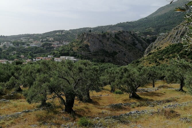 Port of Bar tour - Explore Adriatic area - Bar and Ulcinj tour - Diving Into the Itinerary: What You Can Expect