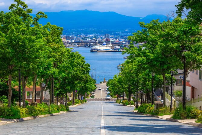 Port Pick-Up: Hakodate Tour With Licensed Guide and Vehicle - Customizable Itinerary Options