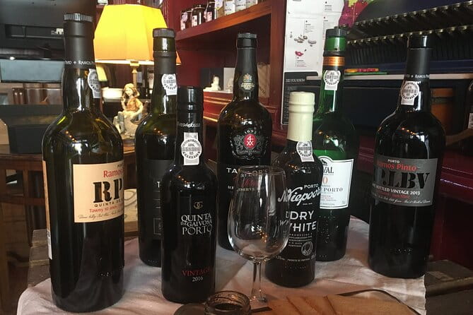 Port Wine Tasting in Coimbra - Introduction to the Coimbra Port Wine Tasting Experience