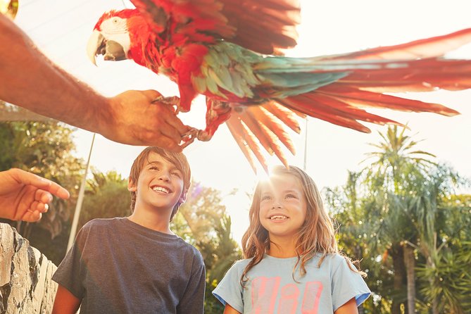 Portaventura Park Day Trip From Barcelona - Inclusions and Exclusions