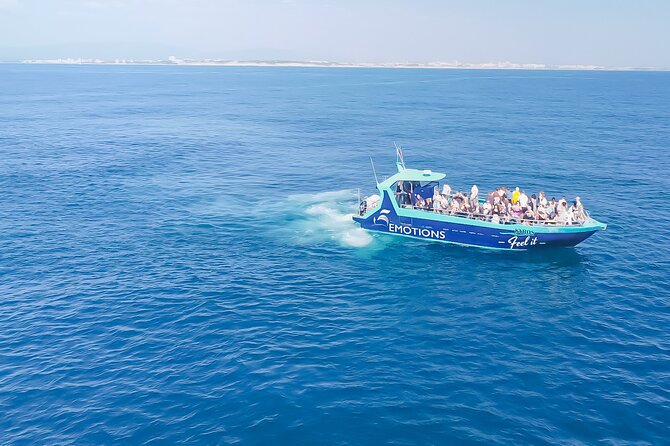 Portimão: 2H30 Guaranteed-Dolphins and Seabirds-Biologist on Board - Tour Inclusions
