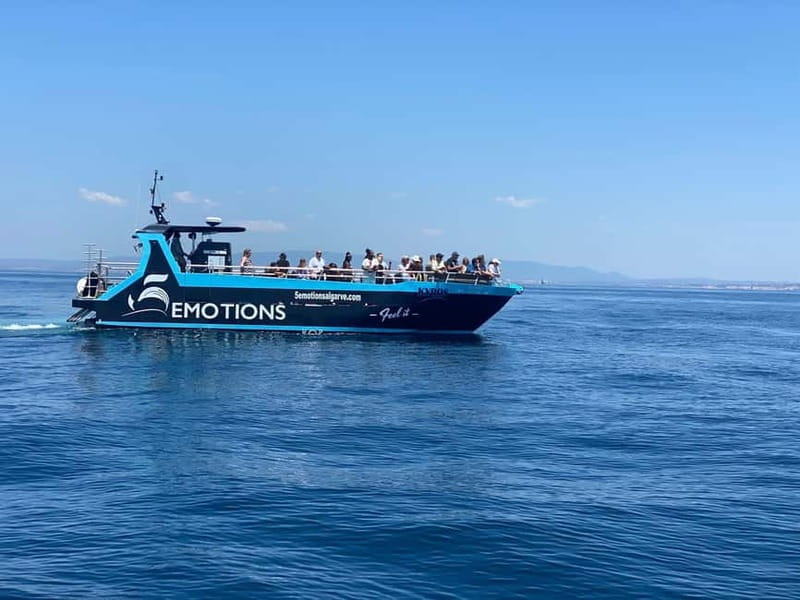 Portimão: Benagil Caves and Algarve Coast - Discovering the Algarves Hidden Gems: Benagil Caves and Coastline Tour