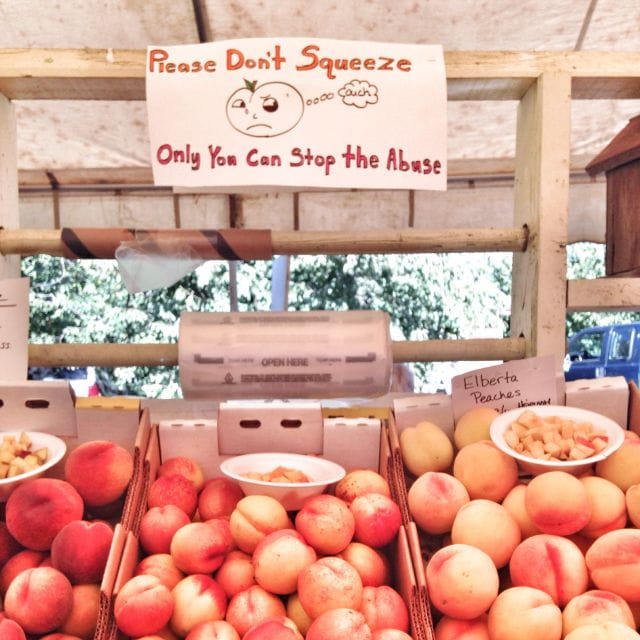 Portland: Multnomah Falls and Hood River Day Trip With Train - Mount Hood Railroad Journey