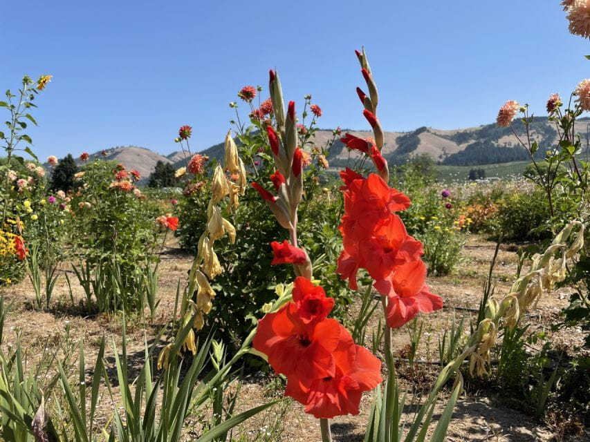 Portland: Multnomah Falls and Hood River Day Trip With Train - Tour Inclusions