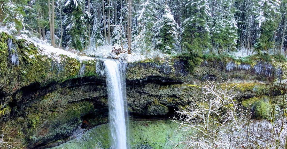 Portland: Silver Falls Hike - Key Points