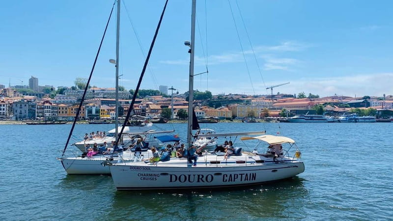 Porto 4H: Charm cruise, wine tasting and vintage van tour - Douro River Cruise — A Moving Perspective