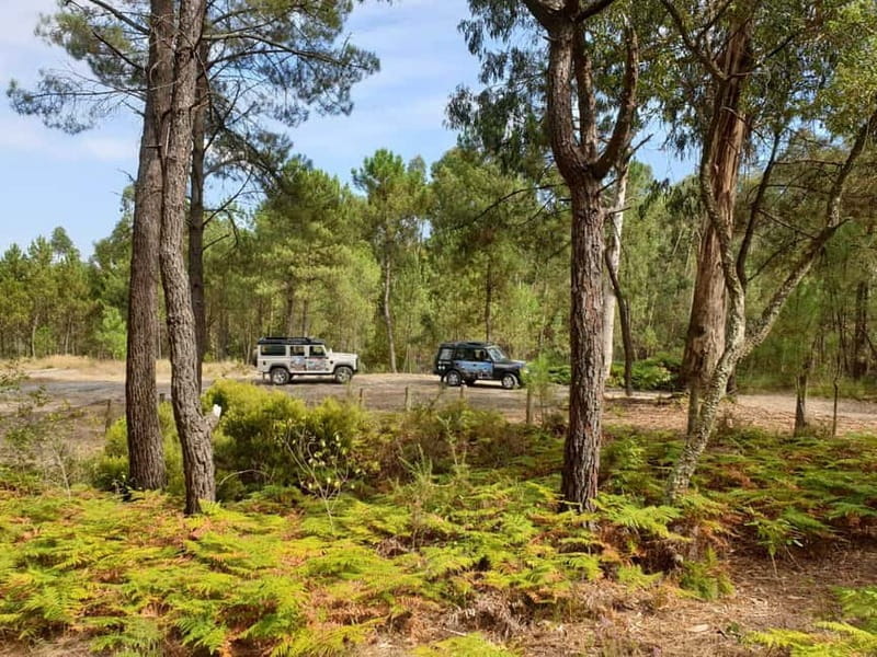 Porto: 4x4 Mountain Tour - Price and Value