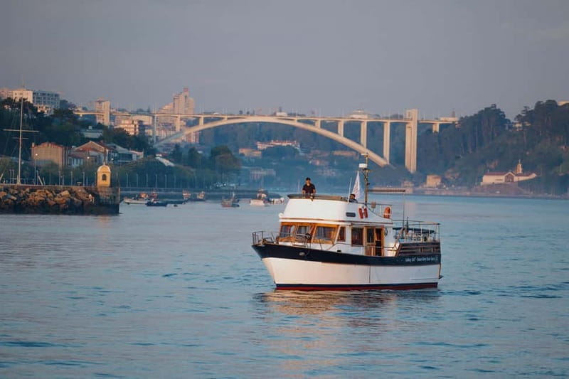 Porto: 6 Bridges Port Wine River Cruise with 4 Tastings - Practical Tips for the Best Experience