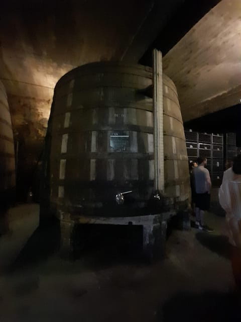 Porto ao Douro melhor experiência vinho e comida Portuguesa - Key points / Takeaways