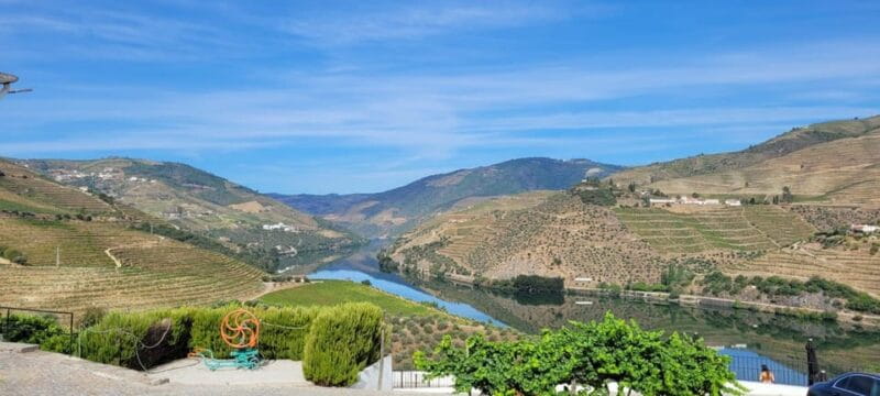Porto ao Douro melhor experiência vinho e comida Portuguesa - Exploring the Douro Valley: An Authentic Wine and Food Day