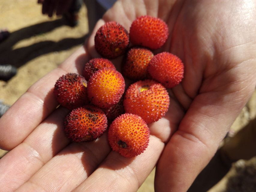 Porto: Authentic Private Douro Valley Tour - Immersive Winery Visits and Tastings