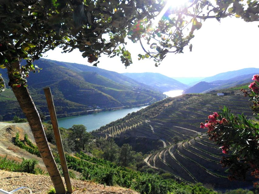 Porto: Authentic Private Douro Valley Tour - Exploring Rustic Douro Villages and Locals