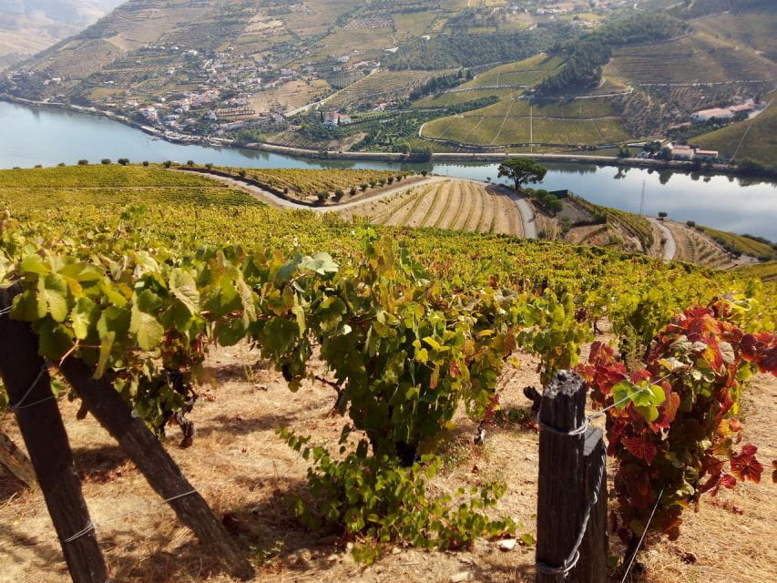 Porto: Authentic Private Douro Valley Tour - Personalized Tour With Expert Guidance