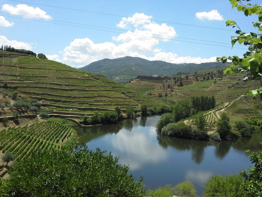 Porto: Authentic Private Douro Valley Tour - Flexible Pickup and Drop-off Options