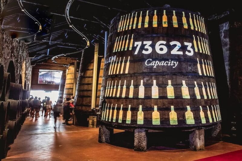 Porto: Cálem Cellar Tour, Fado Show & Wine Tasting - Final Thoughts