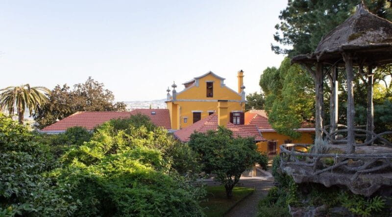 Porto: Casa São Roque Direct Entry Ticket - Who Will Love This Experience?