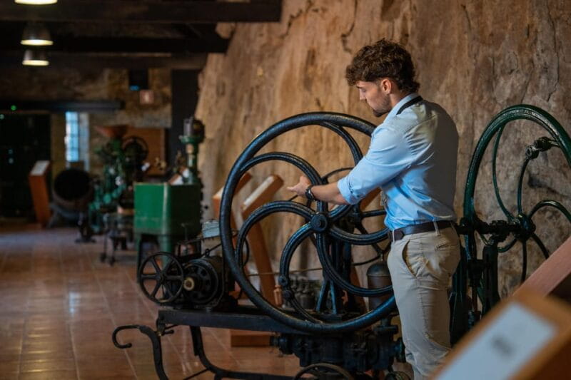 Porto City Full Day Minibus Tour, Wine Tasting & Six Brigdes - Starting the Day: From the Historic Center to the Riverbanks