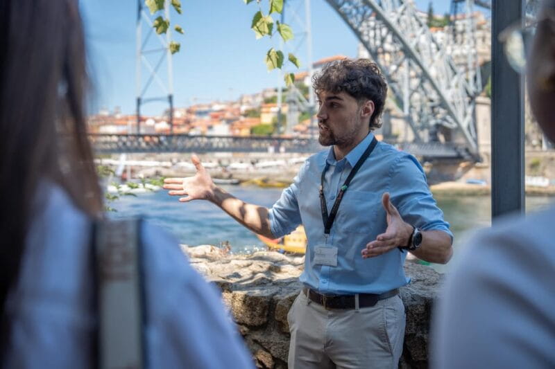 Porto City Full Day Minibus Tour, Wine Tasting & Six Brigdes - The Sum Up