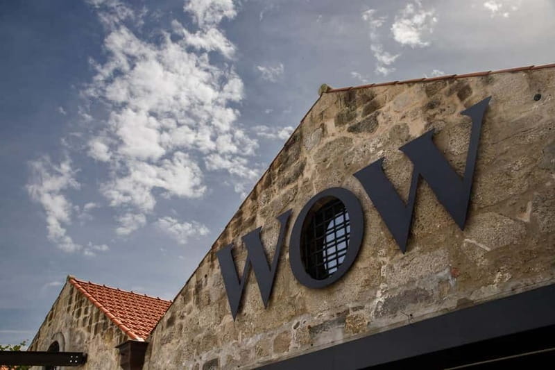 Porto: Combined Ticket for WOW Cultural District - Who Will Love This Experience?
