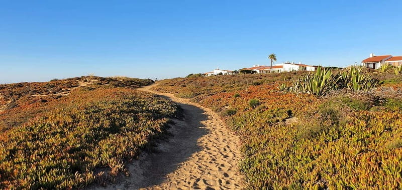 Porto Covo: Guided historical tour of the coast and village - Exploring Porto Covo’s Streets