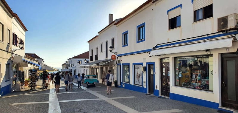 Porto Covo: Guided historical tour of the coast and village - Who Will Love This Tour?