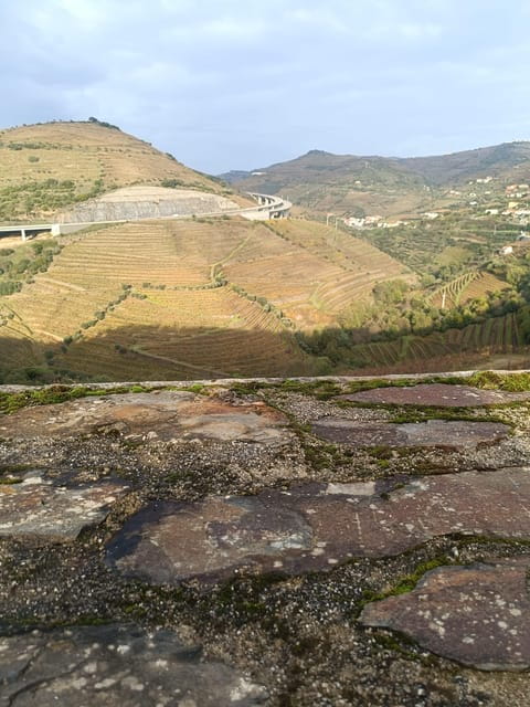 Porto: Douro valley 2 farms with wine tasting and lunch - Key points / Takeaways