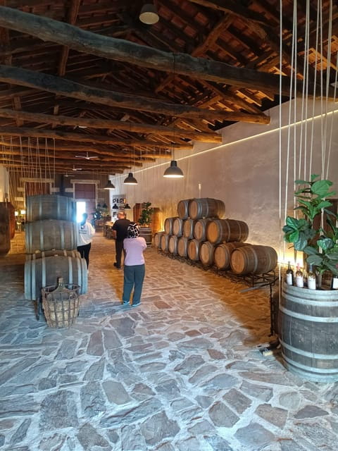 Porto: Douro valley 2 farms with wine tasting and lunch - A Luxurious Lunch and Vineyard Walks