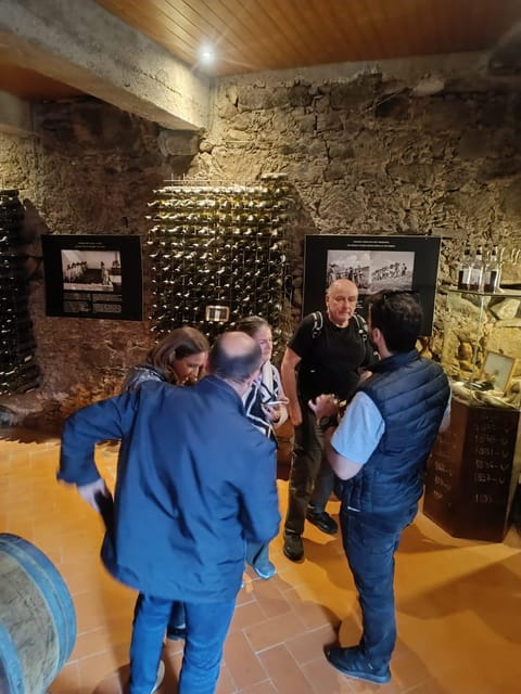 Porto: Douro valley 2 farms with wine tasting and lunch - Price and Value