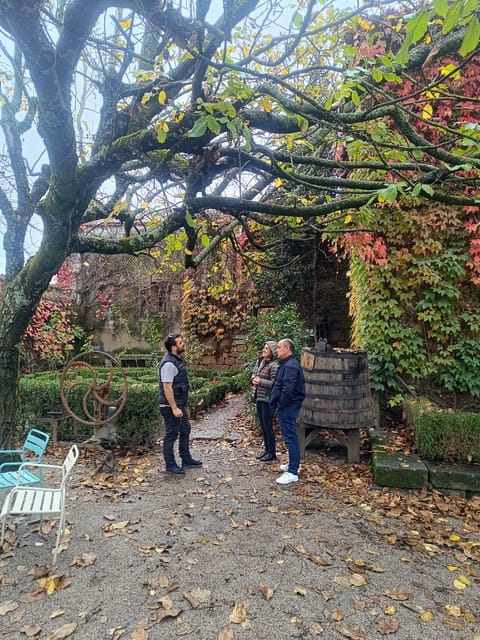 Porto: Douro valley 2 farms with wine tasting and lunch - Practical Tips for Travelers