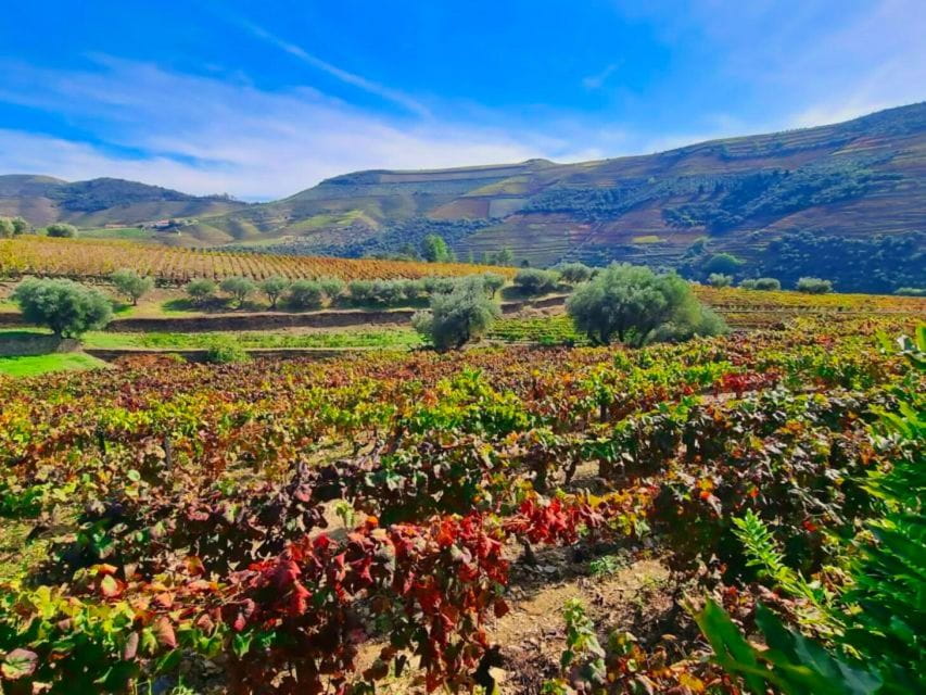 Porto: Douro Valley 2 Vineyards Tour W/ Lunch & River Cruise - Departure and Destinations