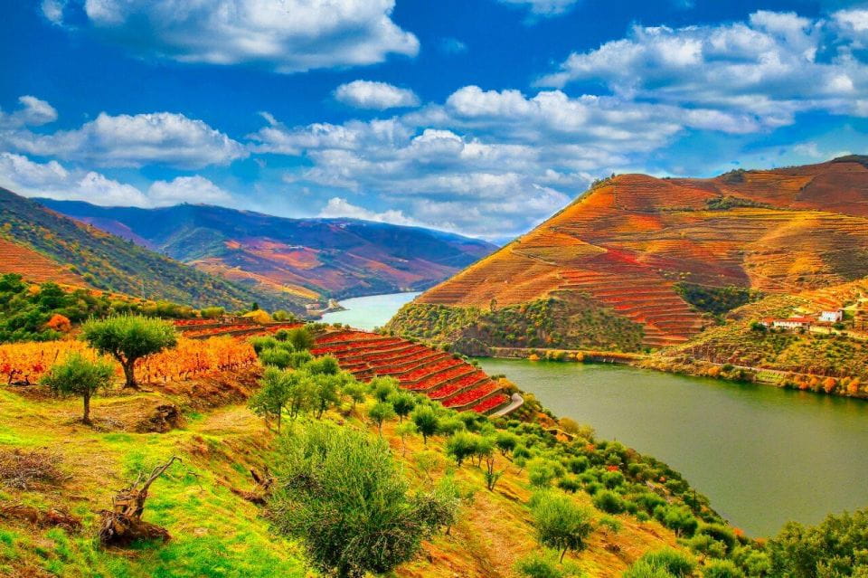 Porto: Douro Valley 2 Vineyards Tour W/ Lunch & River Cruise - Traditional Lunch