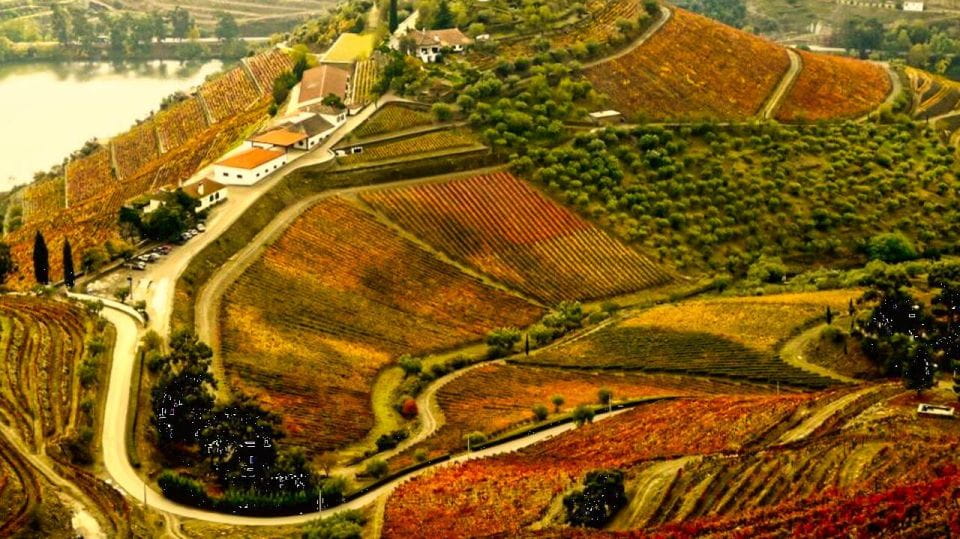 Porto: Douro Valley 2 Vineyards Tour W/ Lunch & River Cruise - Inclusions and Exclusions