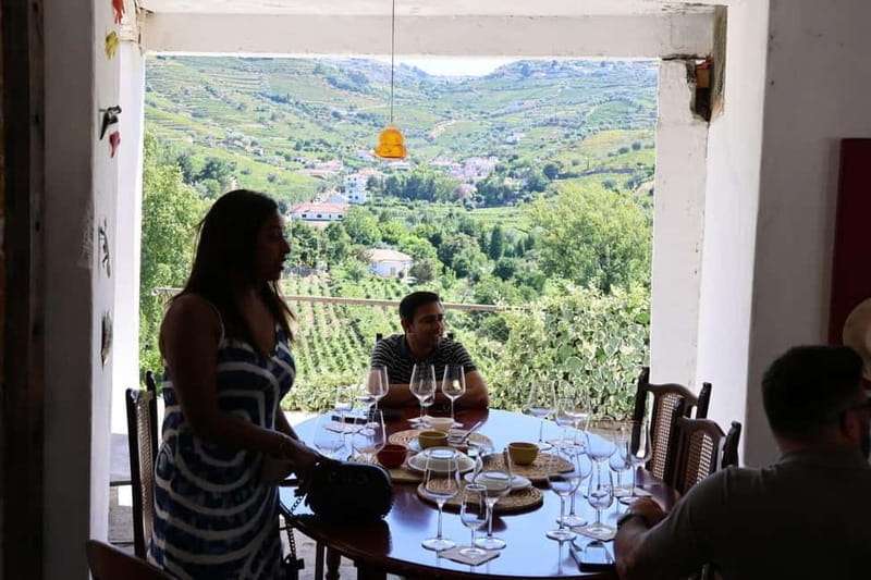 Porto: Douro Valley, 2 Wineries, Lunch, and 1-Hour Boat Tour - Who Will Love This Tour?