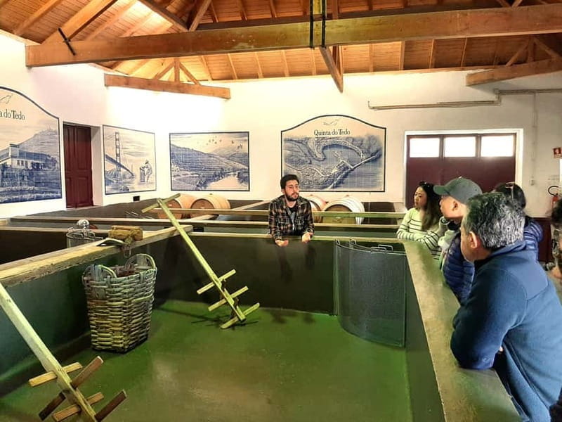 Porto: Douro Valley, 2 Wineries, Lunch & Private Boat Trip - Discovering the Douro Valley: A Deep Dive