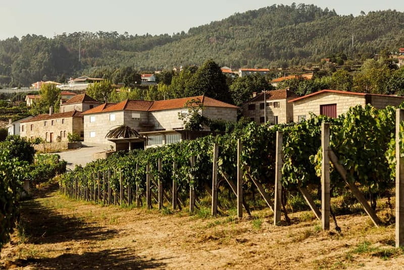 Porto: Douro Valley Exclusive Vinho Verde Tour - The Journey Begins: Scenic Drive & First Impressions