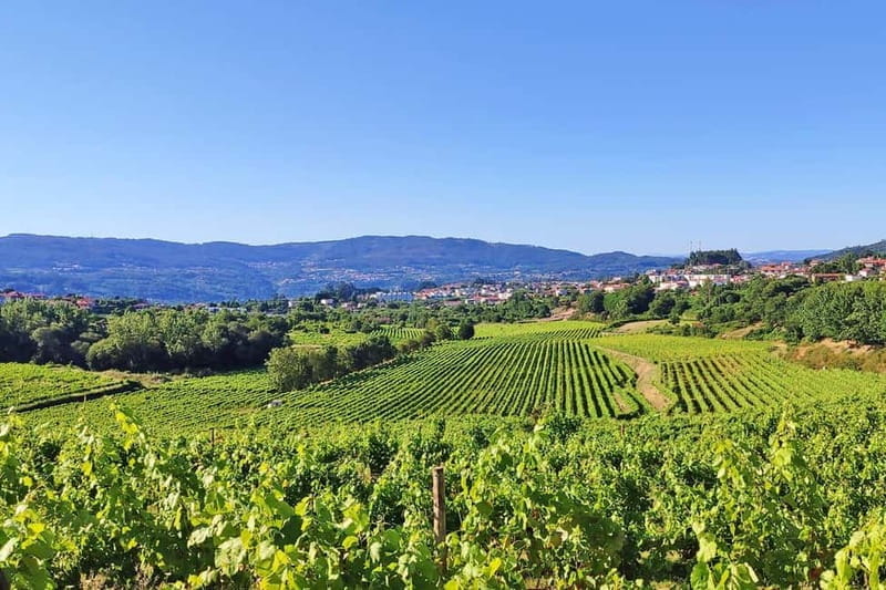 Porto: Douro Valley Exclusive Vinho Verde Tour - Visiting Vineyards and Tasting Regional Food