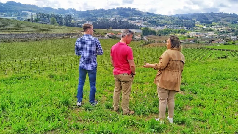 Porto: Douro Valley Exclusive Vinho Verde Tour - Who Will Love This Tour?