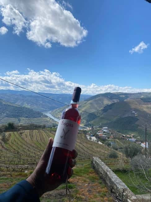 Porto: Douro Valley Half-Day Wine and Food Tour - Key Points / Takeaways