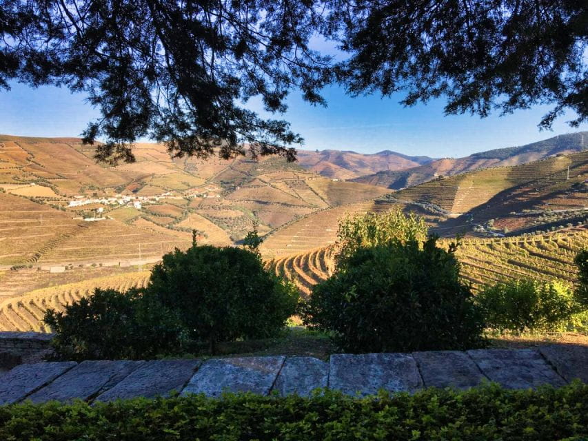 Porto: Douro Valley Private Tour 2 Vineyards & River Cruise - Regional Lunch and Port Tasting