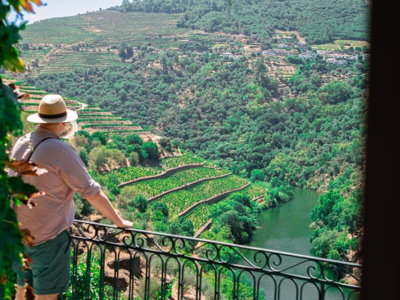 Porto: Douro Valley Private Tour, Tastings, Cruise & Lunch - Key points / Takeaways