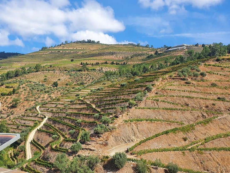 Porto: Douro Valley Private Tour with Winery Visit & Lunch - A Traditional Lunch with Wine