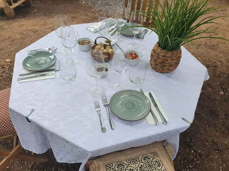 Porto: Douro Valley Private Tour with Winery Visit & Lunch - Who Will Love This Tour?