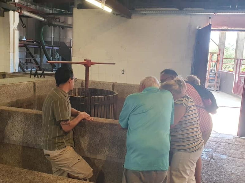 Porto: Douro Valley Private Tour with Winery Visit & Lunch - Price and Logistics: Is It Worth It?