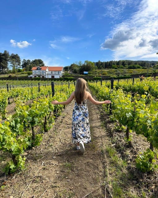 Porto: Douro Valley Tour with 2 Wineries, Lunch and Cruise - Who Will Love This Tour?
