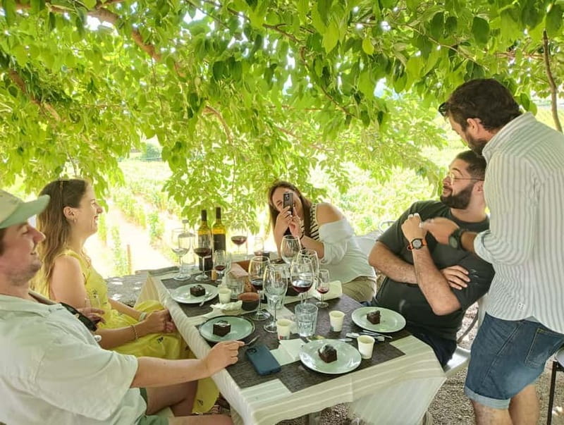 Porto: Douro Valley Tour with 2 Wineries, Lunch, & Boat Trip - Key points / Takeaways